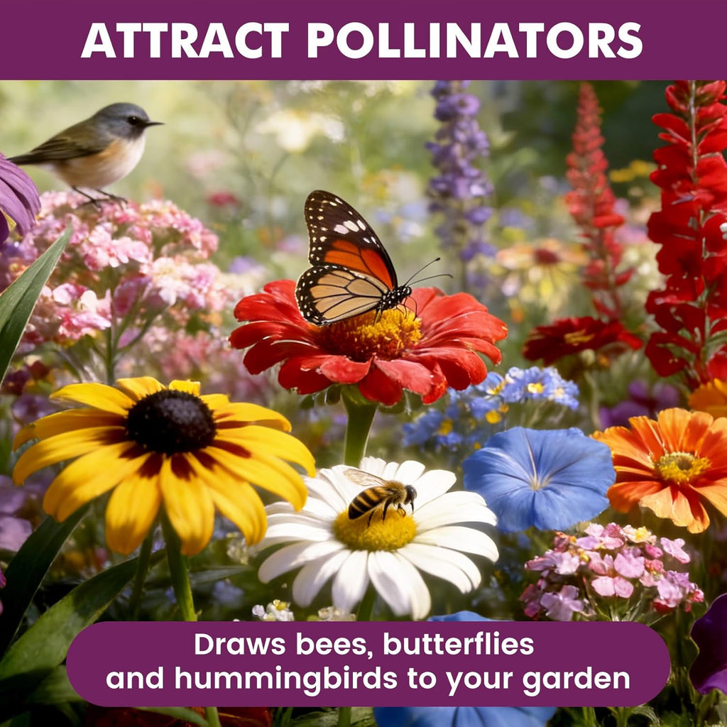 Wildflower Seeds - 10,000+ Bulk Butterfly & Hummingbird Mix | 21 Varieties of Heirloom Perennials & Annuals