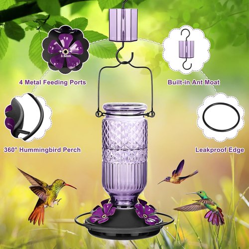 FEED GARDEN Glass Hummingbird Feeder - 16 oz Outdoor Feeder with Bee-Proof Ports & Easy Clean Design, Purple