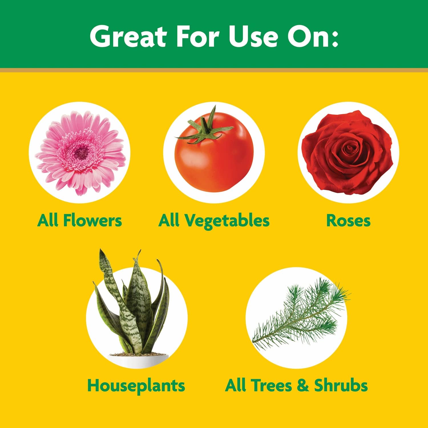 Miracle-Gro All-Purpose Plant Food - Water Soluble Fertilizer for Indoor & Outdoor Plants | 5.5 lbs