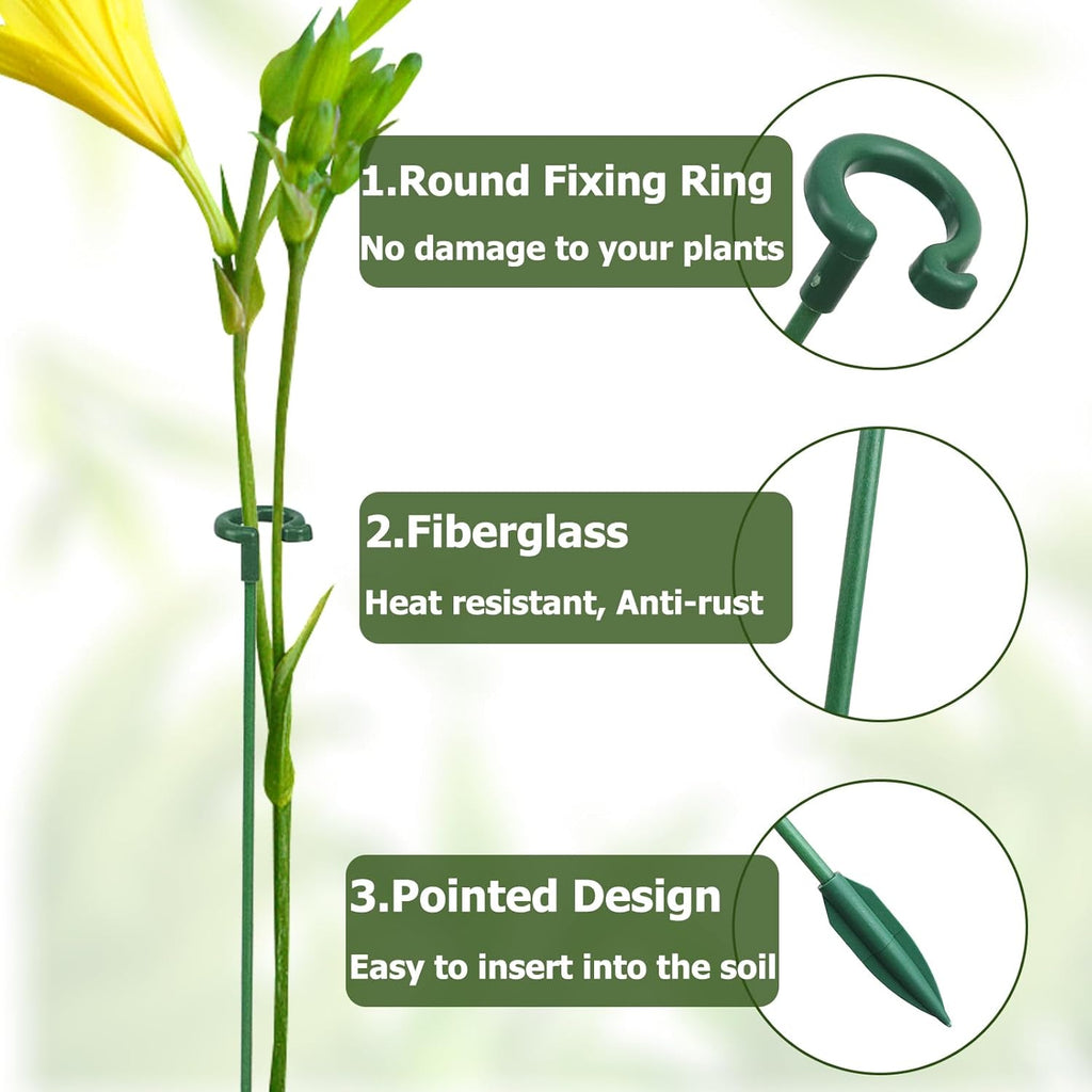 Small Plant Stakes - Pack of 30 | Durable Support for Indoor Plants - 3 Sizes: 6.7/10.7/14.6 Inches