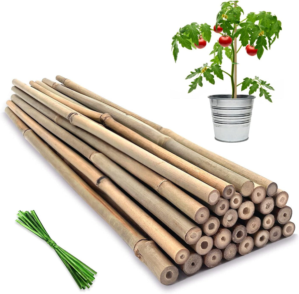 BOVITRO 12-Inch Natural Bamboo Plant Stakes - 20 Pcs Support for Tomatoes, Beans & Potted Plants