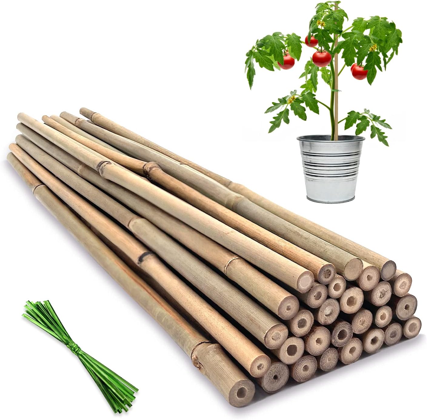 BOVITRO 12-Inch Natural Bamboo Plant Stakes - 20 Pcs Support for Tomatoes, Beans & Potted Plants