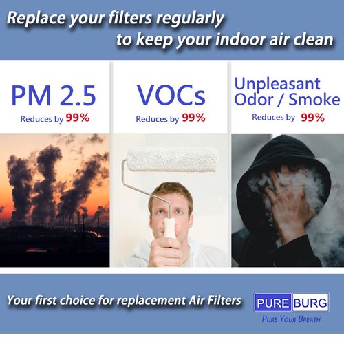 PUREBURG Replacement Filter Set Compatible with HoMedics AT-PET01 AT-PET02 TotalClean PetPlus Tower Air Purifier,2-Pack H13 HEPA Activated carbon Air Clean