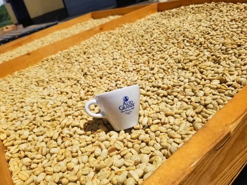 Alto Grande Super Premium Coffee Beans, Medium Dark Roast, Single Origin, Puerto Rico Arabica, Whole Bean, 2 Pound (Pack of 1)