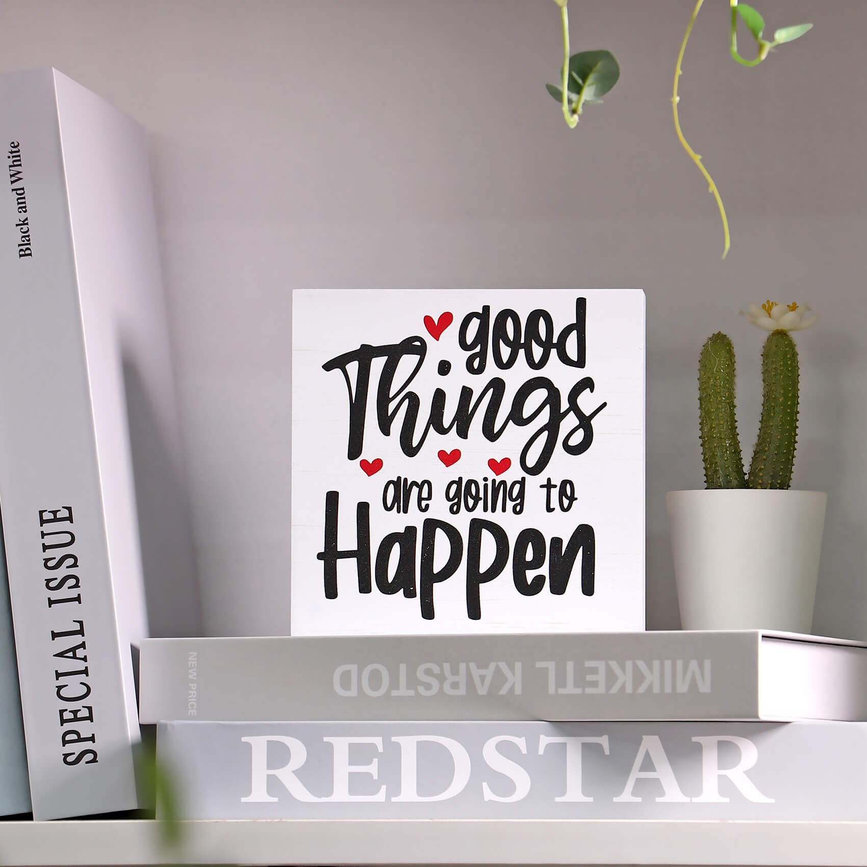 Double-Sided Wooden Box Sign, But Did You Document It Office Decor 2-in-1 Sayings Wood Block Signs, 5x5 Inches Reversible Table Centerpiece Decorations for Desk