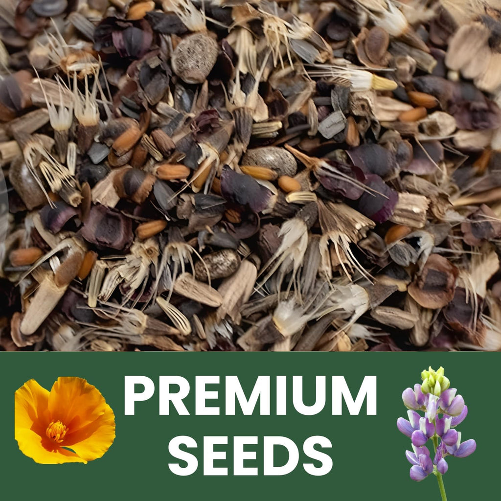 All Annual Quick Blooming Mix - 16,000 Wildflower Seeds for Vibrant Gardens - 1 Ounce Packet