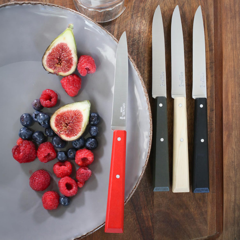 OPINEL No. 125 Table Knives, 4 Piece Set, High Carbon Steel Dinner Knives for Parties, Entertaining, or Everyday Use, Painted Hornbeam Handles, Made in France (Loft)