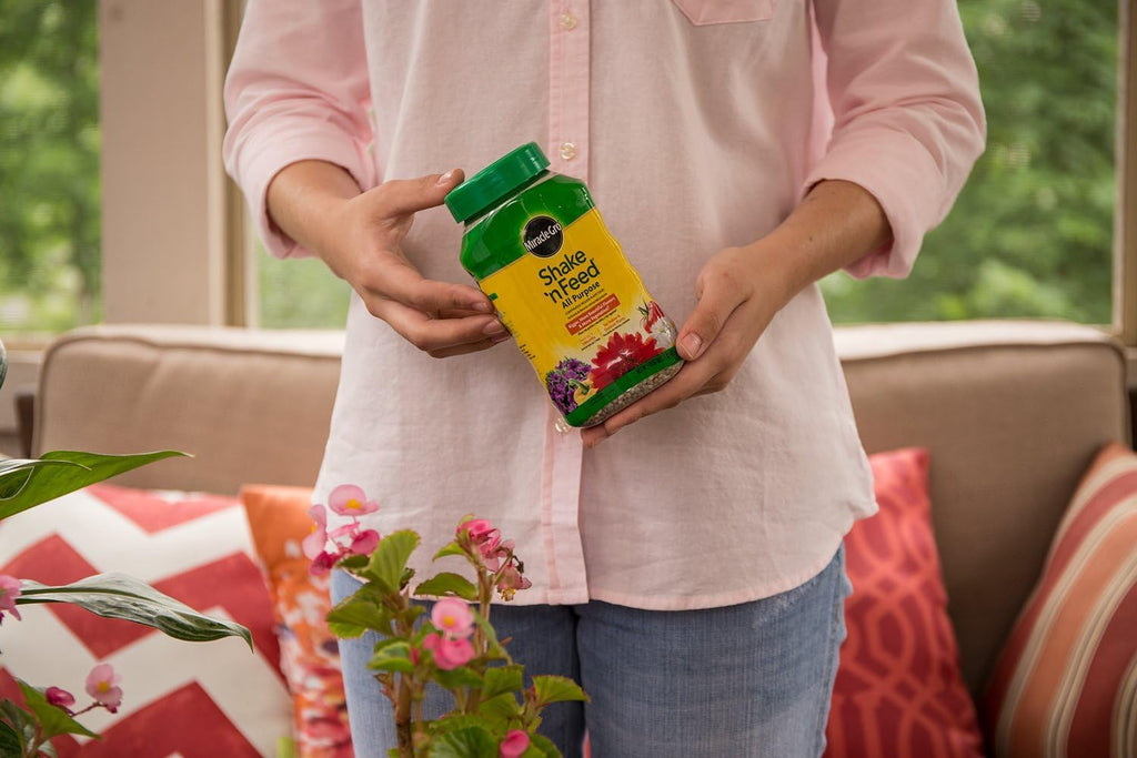 Miracle-Gro All Purpose Plant Food - Continuous Release Fertilizer, 1-Pound for Thriving Plants