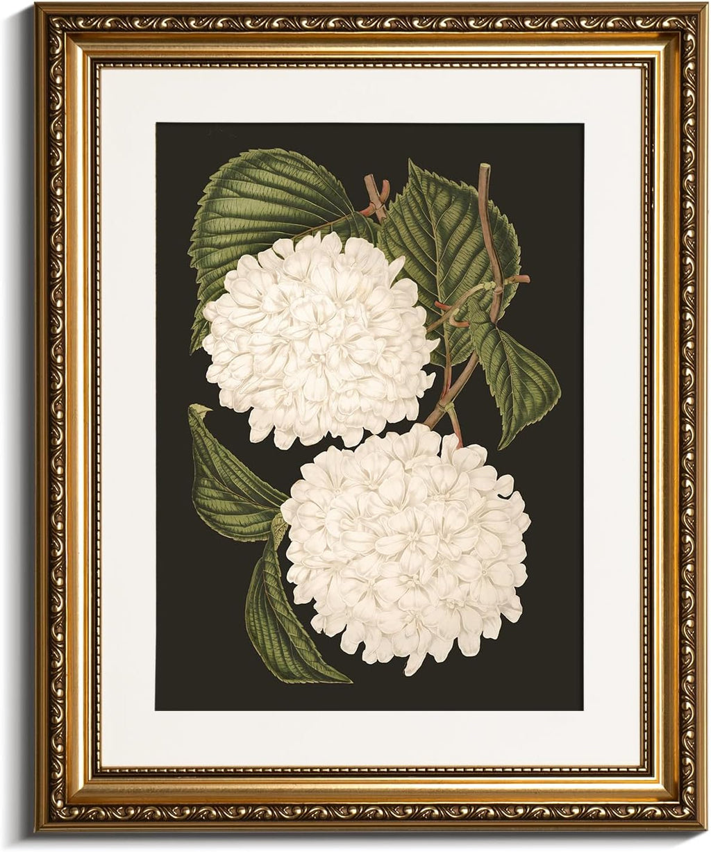 VIYYIEA Gold Framed Canvas Print - White Hydrangea Oil Painting for Home Decor | 13x16in Aesthetic Wall Art