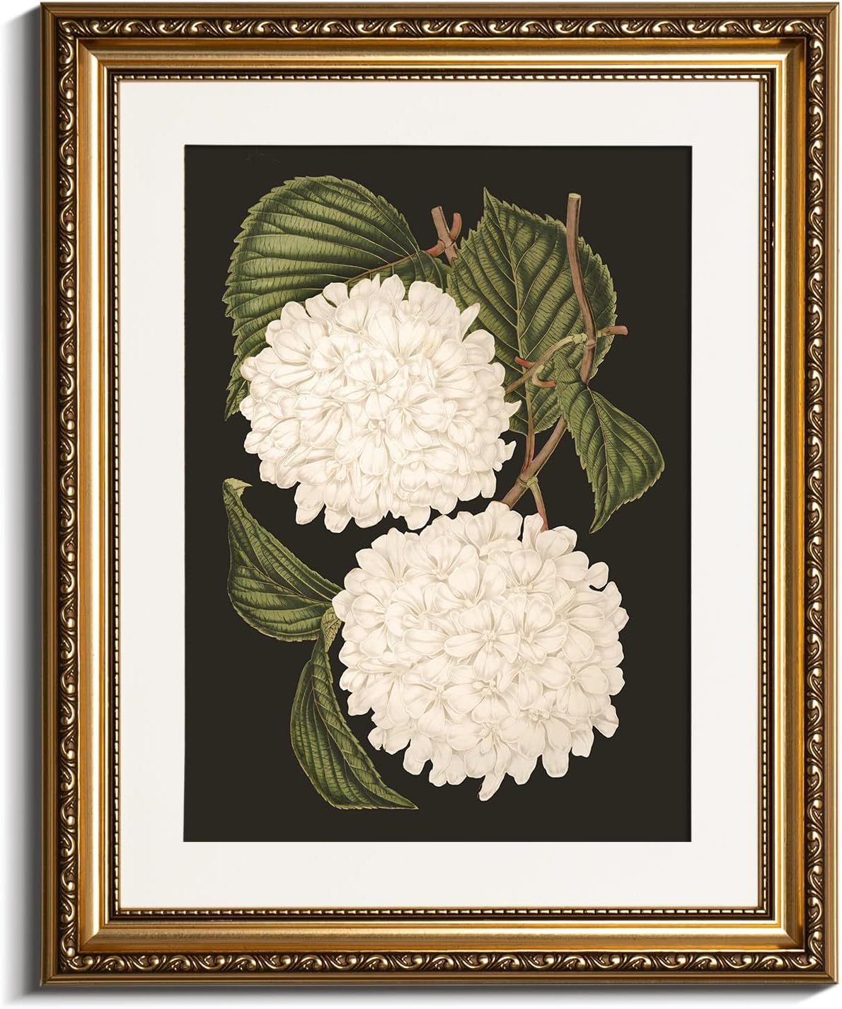 VIYYIEA Gold Framed Canvas Print - White Hydrangea Oil Painting for Home Decor | 13x16in Aesthetic Wall Art