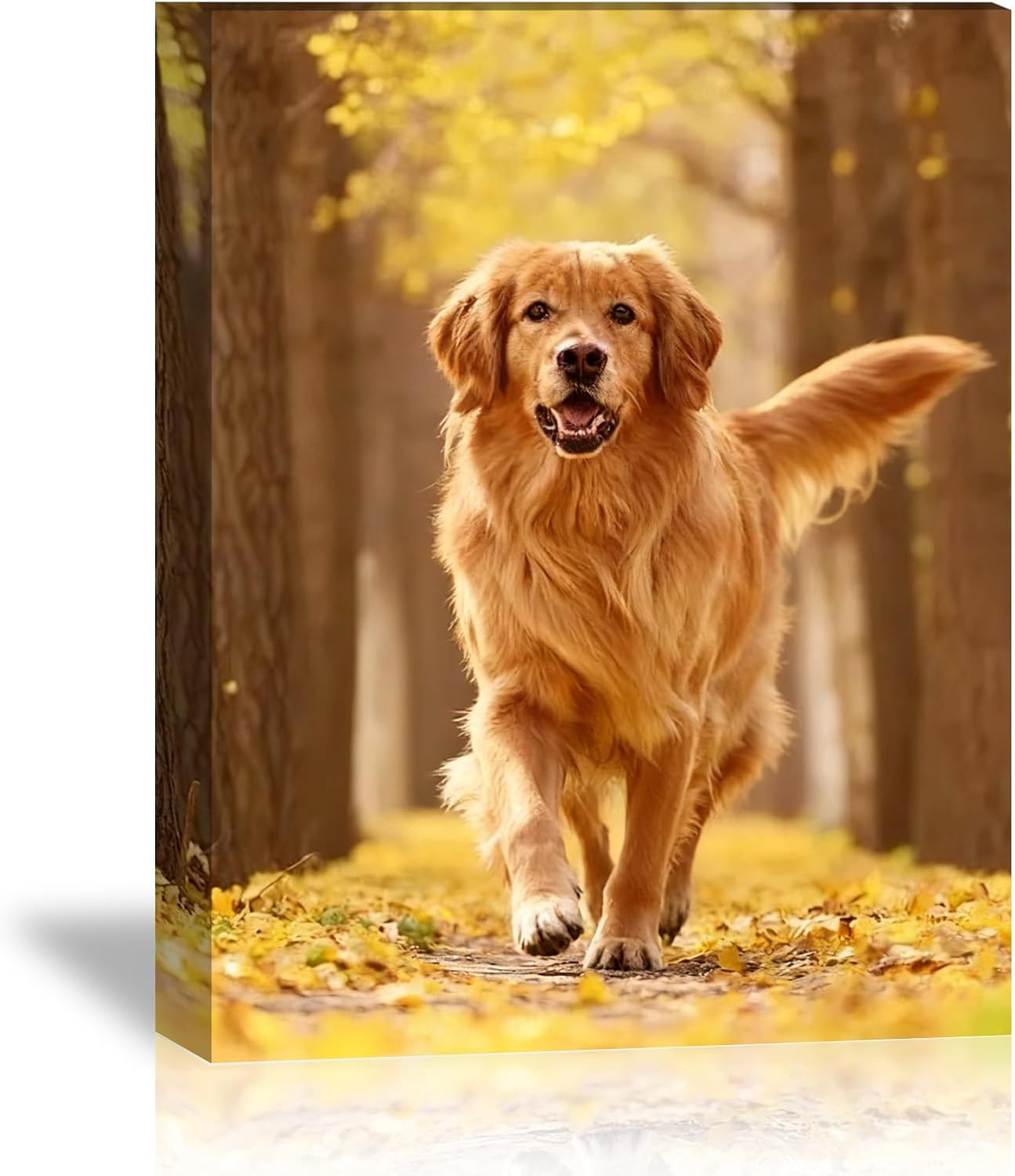 Skiennix Custom Canvas Prints - Personalized Pet Wall Art with Your Photos | 6" L x 8" W