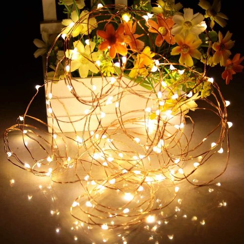 Ariceleo LED Fairy Lights - Warm White 16ft Bundle with Basic & Upgraded Features