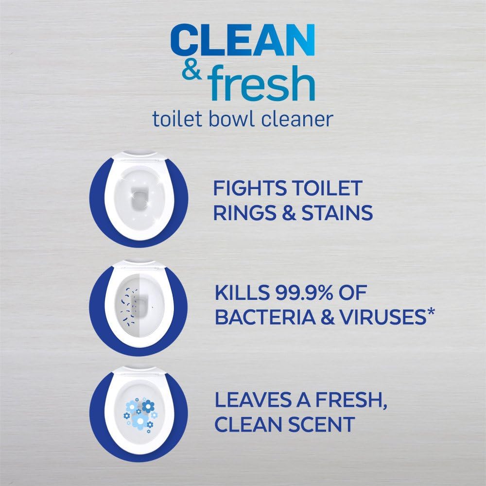 Lysol Toilet Bowl Cleaner Gel - Powerful Stain Removal & Disinfecting - Forest Rain Scent, 24oz