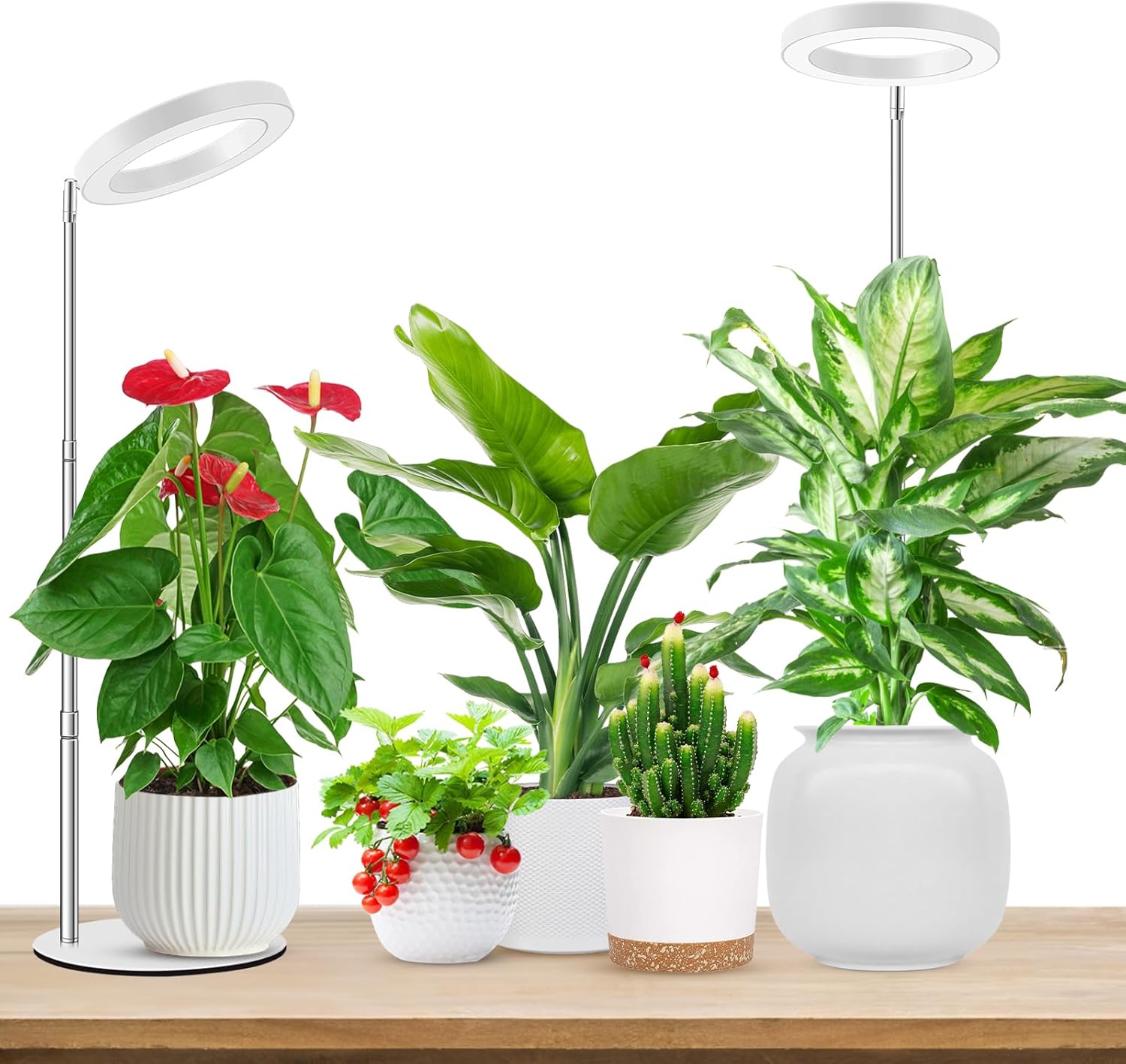 Aokrean Grow Lights - Full Spectrum Indoor Plant Lamps | Height Adjustable 9.8"-37.4" with Auto Timer & 3 Spectrums (2 Pack)