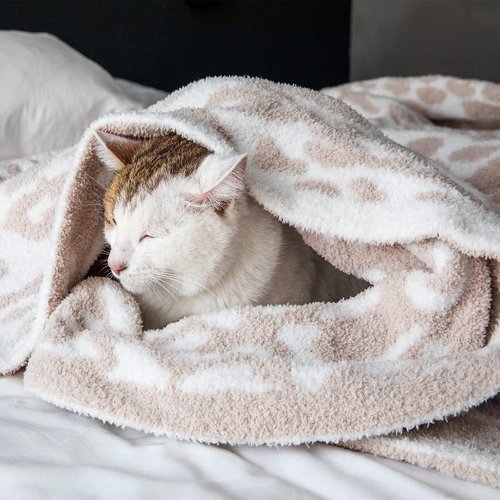 MH MYLUNE HOME Ultra Soft Leopard Throw Blanket (50x60 inches) Khaki Microfiber Blankets Plush Warm Reversible Cheetah Blanket Leopard Pattern Throw for Couch Bed Sofa, Khaki, 50"x60", 410GSM