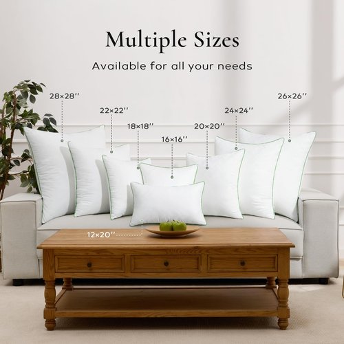 Ashler Home Deco 12x20 Pillows Insert (Set of 2) - Throw Pillow Inserts with 100% Cotton Cover - Lumbar Pillow Sofa Stuffer Pillow Inserts -Decorative White Couch Pillow