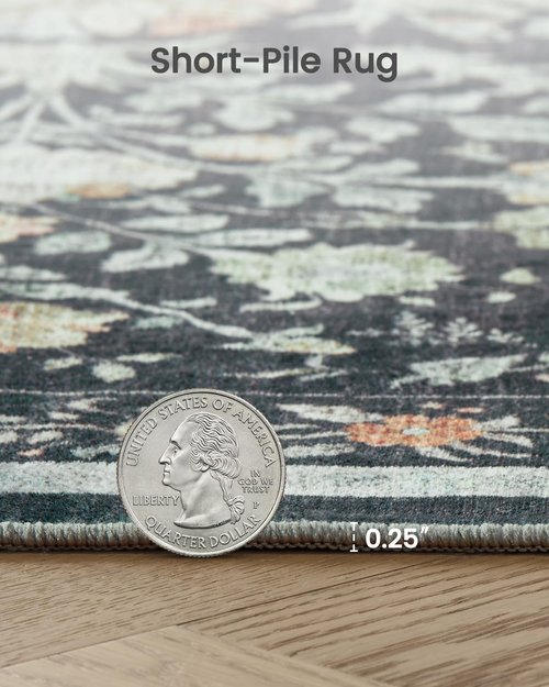 Area Rugs 8x10, Washable Floral Rug Non Slip Large Living Room Rug Vintage Distressed Soft Carpet for Bedroom, Dinning Room, Home Office