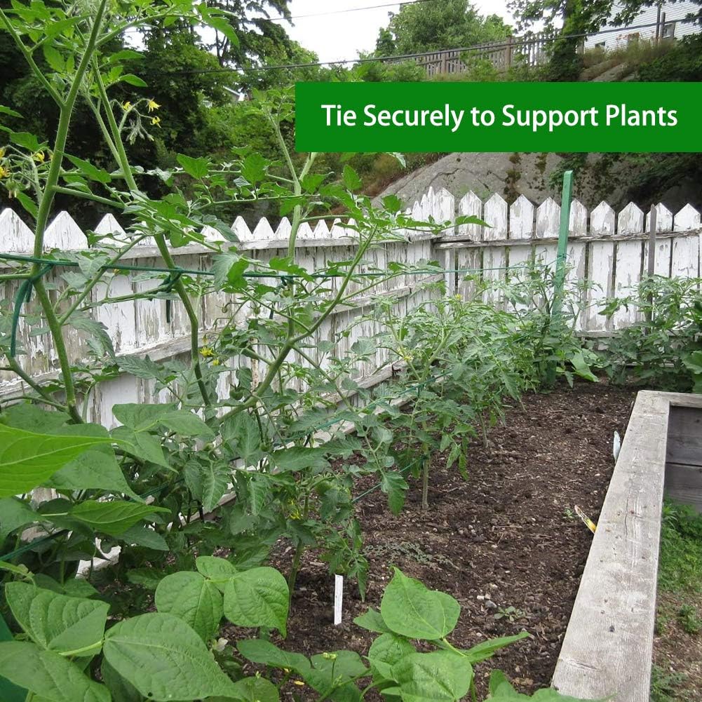 Skiennix Plant Ties - 164 Feet of 8mm Green Garden Twine | Biodegradable Support for Tomatoes, Vines & Roses
