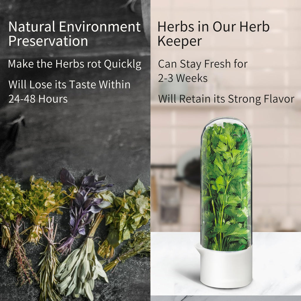 UEOZ Herb Keeper for Refrigerator, Herb Saver for Refrigerator, Vegetable Preservation Bottle for Cilantro, Mint, Parsley, Asparagus, Keeps Greens Fresh for 2-3 Weeks (1PCS)
