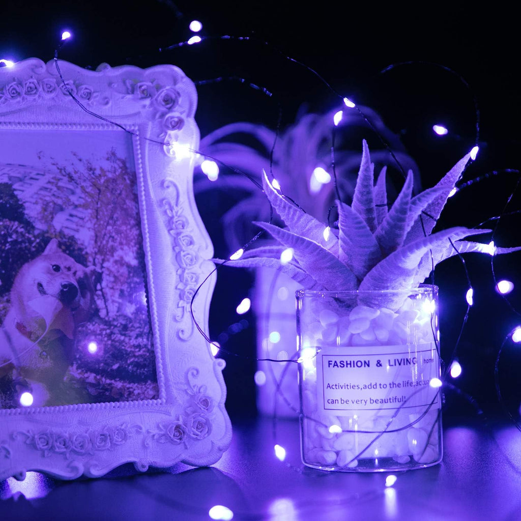 Skiennix Halloween Purple Fairy String Lights - 12 Pack, 7 Ft, 20 LED Battery Operated for DIY Decor