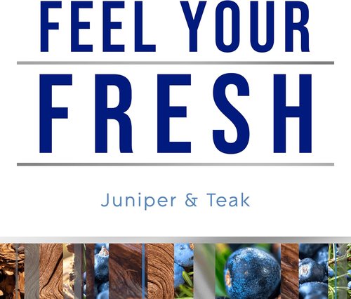 Glade Automatic Spray Refill - Juniper & Teak Air Freshener for Home | 6.2 Oz Fresh Collection