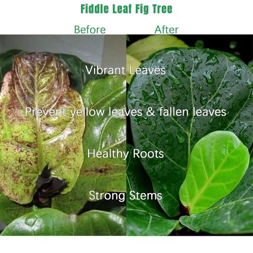 FOLLOWIN Fiddle Leaf Fig Fertilizer - Concentrated Liquid Plant Food for Ficus Lyrata, 21 fl oz