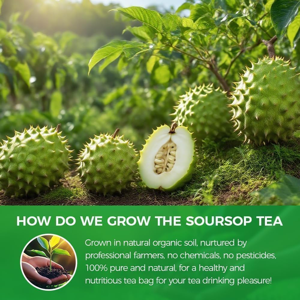 WOTIHA 45 Count Premium Soursop Graviola Tea Bags - 100% Natural soursop leaves, Non-GMO, Caffeine/Sugar/Gluten Free Vegan, Food-Grade Biodegradable Bags, Hojas De Guanabana.
