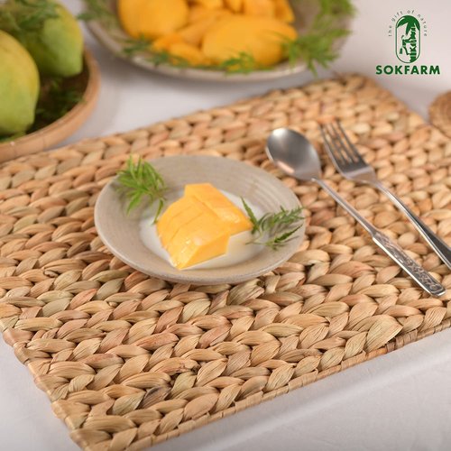 Table Mats Set of 10, Boho Woven Placemats, Individuales para Mesa De Comedor, Easter Farmhous Egreen Placemats, Individuales para Mesa, Table Tyke Placemat, Water Hyacinth Place Mat 17x12