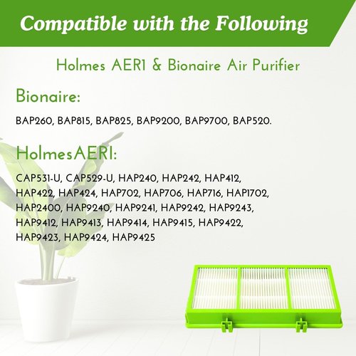 Nispira AER1 HAPF300AHD Allergan Remover Filter Replacement for Holmes Air Purifier HAPF30AT HAP242-NUC HAPF300AH-U4 HAPF300AHD-U4R True HEPA. 2 Packs