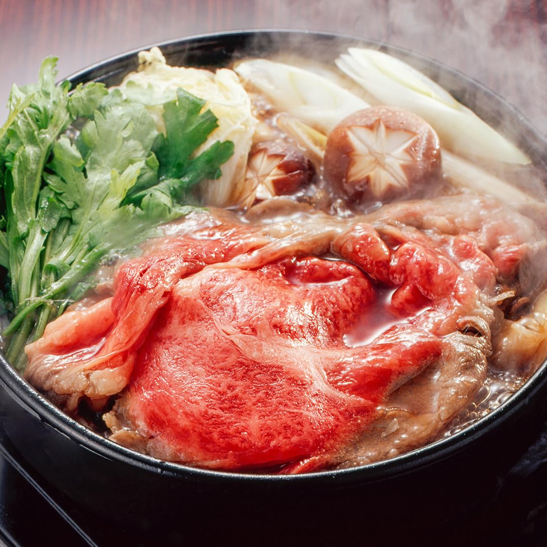 TIKUSAN Japanese Cast Iron Hot Pot Sukiyaki Nabe Pan Made in Japan (9.4" (24cm))