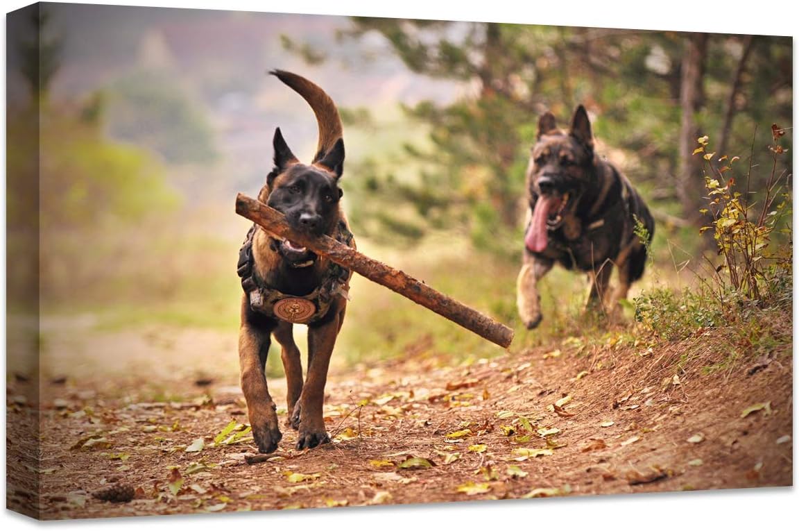 Personalized Canvas Print by [Brand Name] - Custom Photo Wall Art for Bedroom & Living Room (12" W x 8" H)