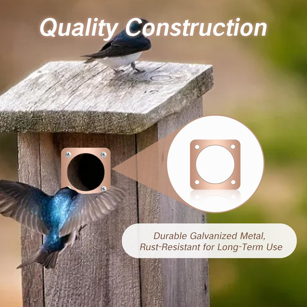 Skiennix Birdhouse Predator Guard - Copper Metal Protector for Eastern Bluebirds | 1.5-Inch Hole