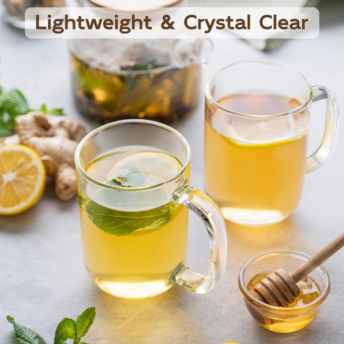 BWODYAY Glass Coffee Mugs, 20 oz Ice Coffee Cups Set of 6, Large Clear Tea Cups, Glass Mugs with Handles for Hot Beverages, Glass Cups for Latte, Cappuccino, and Tea