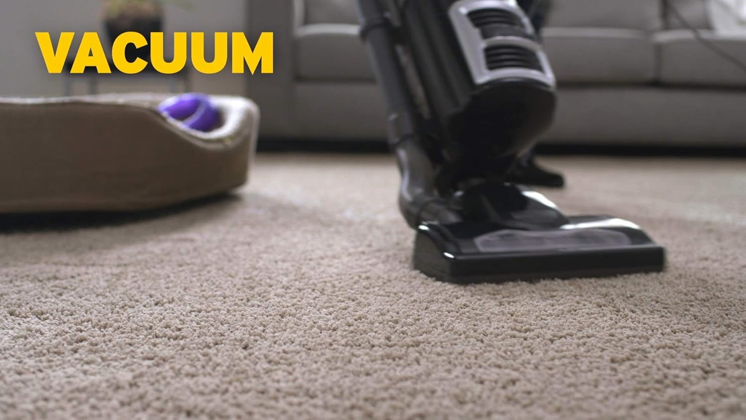 ZEP INC Carpet Shampoo - Powerful Stain Removal | 128 Fl Oz Clear Formula