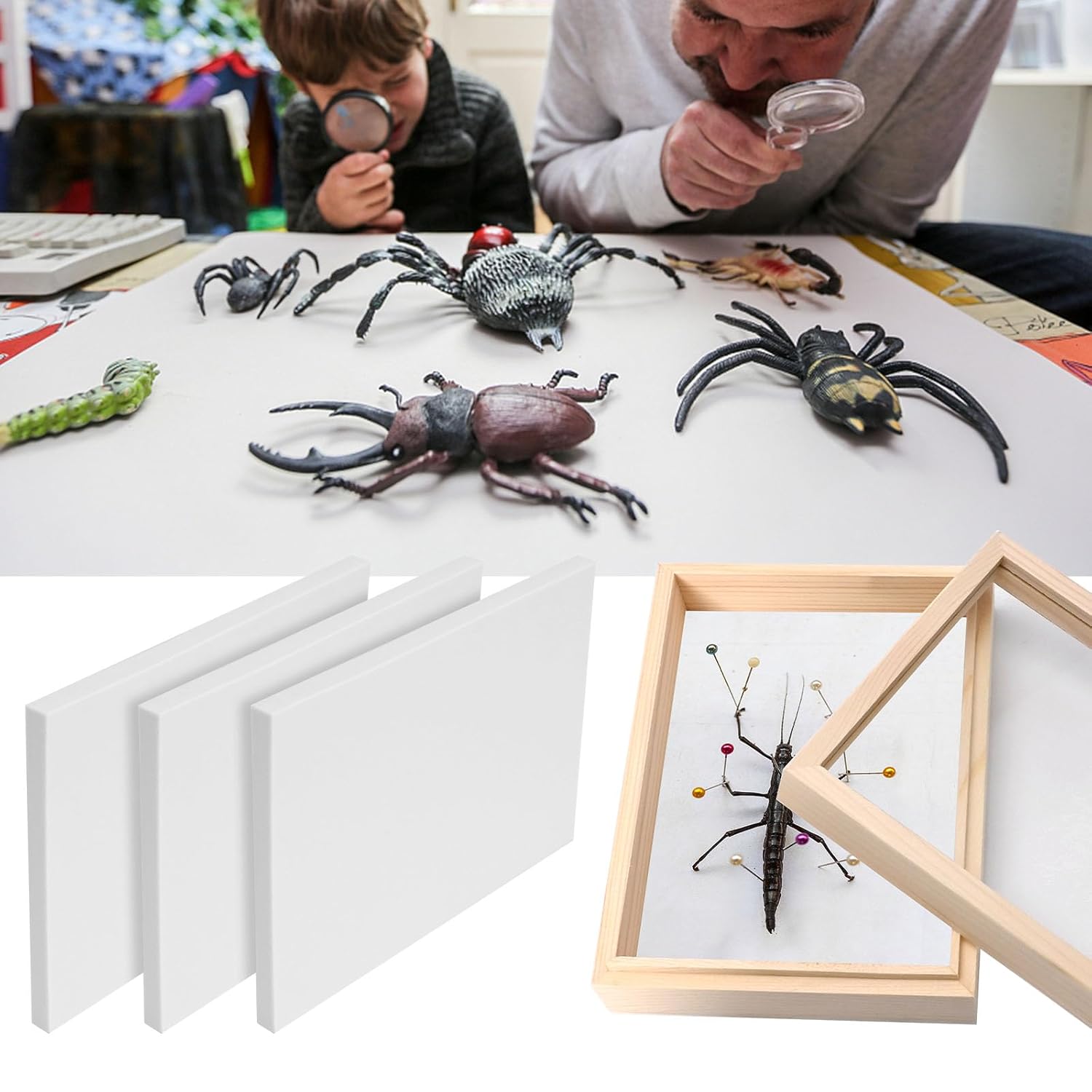 Saihisday Insect Pinning Board - 3Pcs EVA Foam Specimen Display Panel for Butterfly Collection