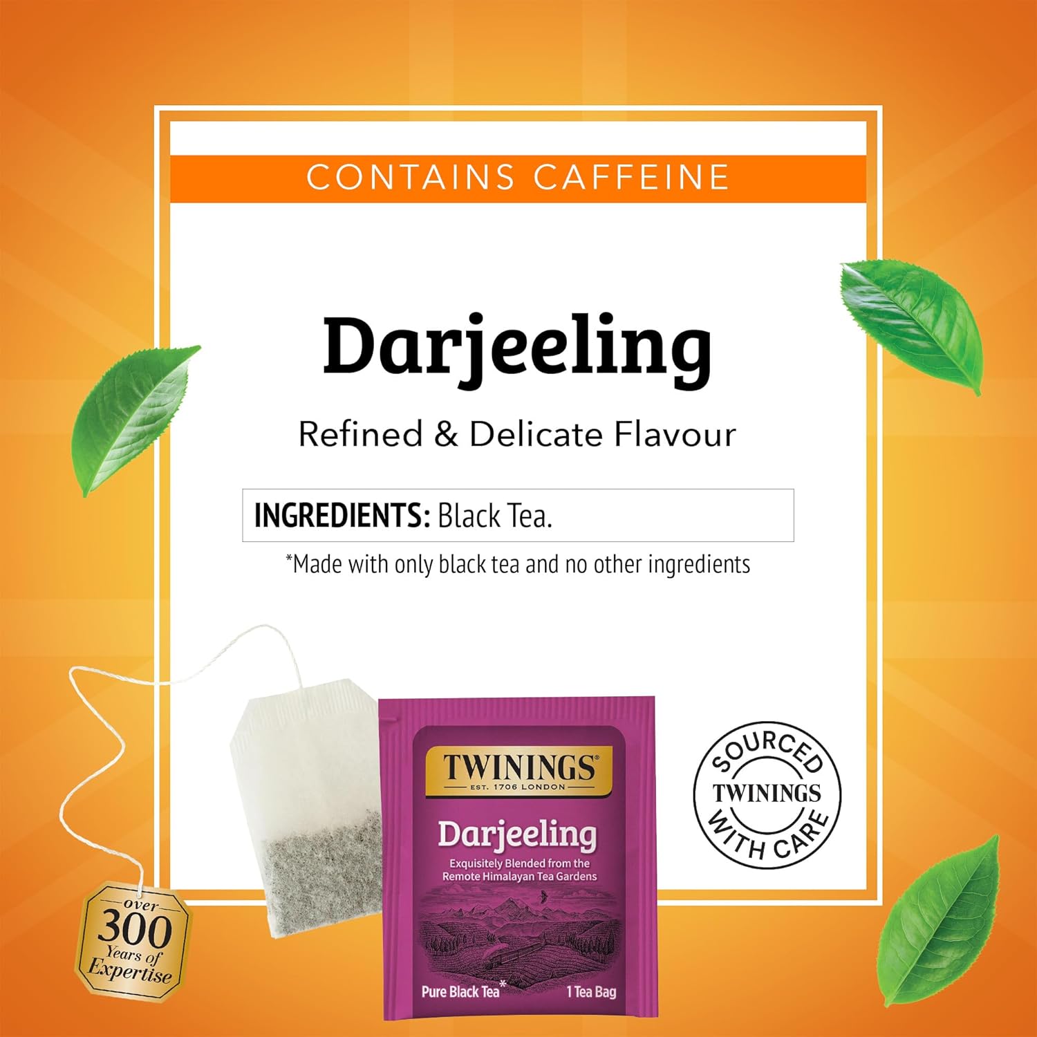 Twinings Darjeeling Black Tea - Individually Wrapped Bags, 50 Count | Delicate Flavor, Caffeinated, Hot or Iced