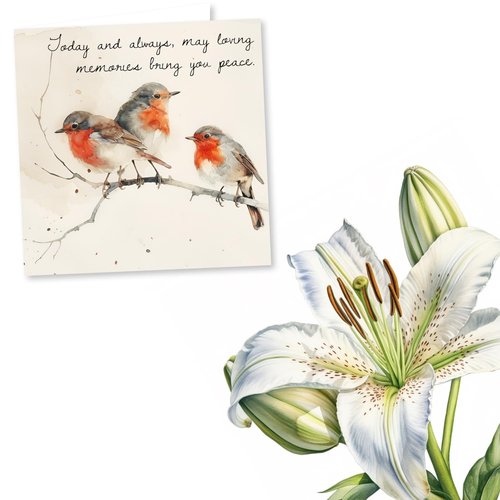 Heartfelt Robin Condolences Card - May Loving Memories Bring You Peace - Three Birds, Watercolour Design - Sympathy Card For Loss Of A Loved One