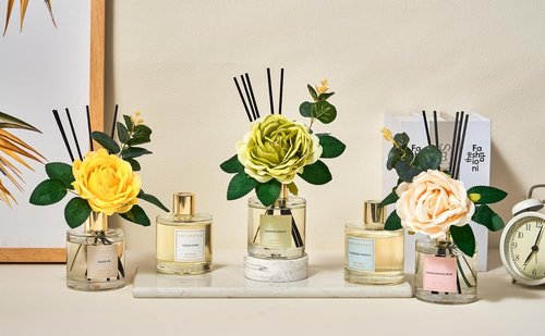 Cocorina Reed Diffuser Set - Cashmere Vanilla Scented Home Fragrance | 6.7 Ounce for Large Rooms