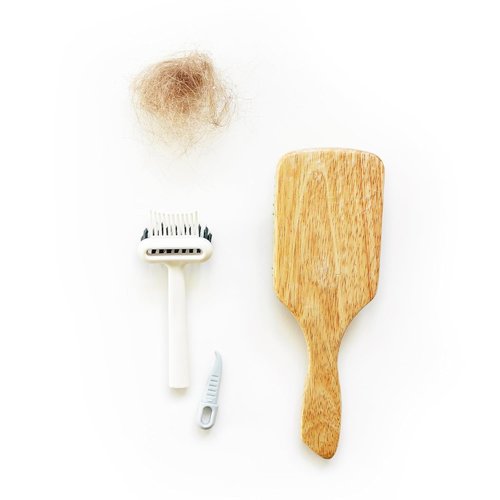 BlairCo Hair Brush & Comb Cleaner Tool - 2-in-1 Design for Easy Hair & Lint Removal | Ideal for Salon & Home Use