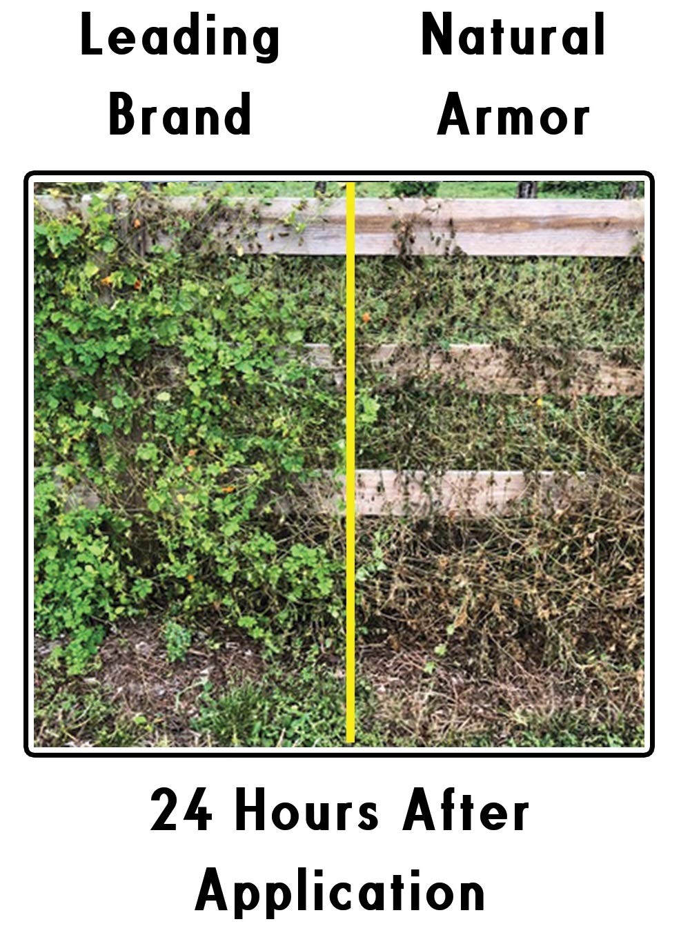 Natural Armor Weed & Grass Killer - All-Natural Concentrated Formula, Glyphosate-Free (128 Oz)