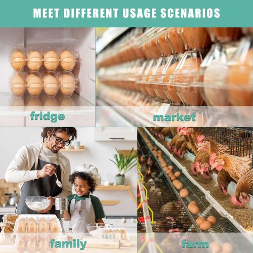 SINLUCESCE 50 Packs Egg Cartons Cheap Bulk，Plastic for 12 Eggs， Clear Egg Cartons 3 * 4 Grids，Perfect for Refrigerator Chicken Farm Markets Commercial Business Market Display