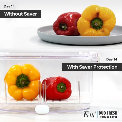 Felli Duo Fresh Produce Saver - Fruit & Vegetable Storage Container with Vent & Drainage | Refrigerator Keeper