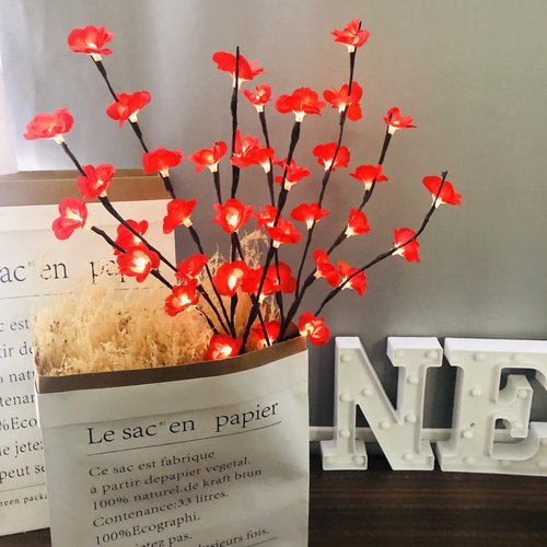 2 Pack Led Red Plum Bossom Branch Light Battery Operated Lighted Branch Artificial Lamei Floral Little Twig Light 30 Inch 20 LED for Home Vase Decoration (Red)