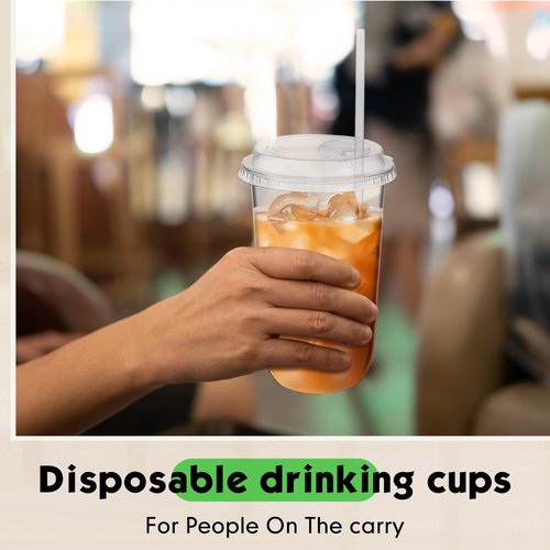 Ziliny 50 Sets Crystal Plastic Cups with Lids and Straws, Disposable Iced Coffee Cups Bulk PET for Wine, Cocktail, Smoothie, Milkshake, Cold Drinks, Juice, Wedding, Birthday, Coffee Shop, Party (18oz)