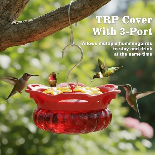 Fchstaer Glass Hummingbird Feeders Set of 2 - 3 Bee Guard Ports, 3.4oz Capacity, Perfect Outdoor Gift for Mom