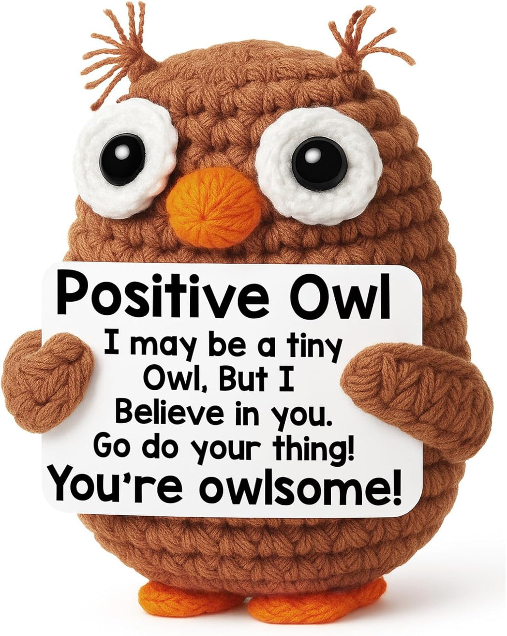 Owl Graduation Gifts - Inspirational Keepsake for Teens | Perfect for 2026 Graduates, Birthdays & Teacher Appreciation
