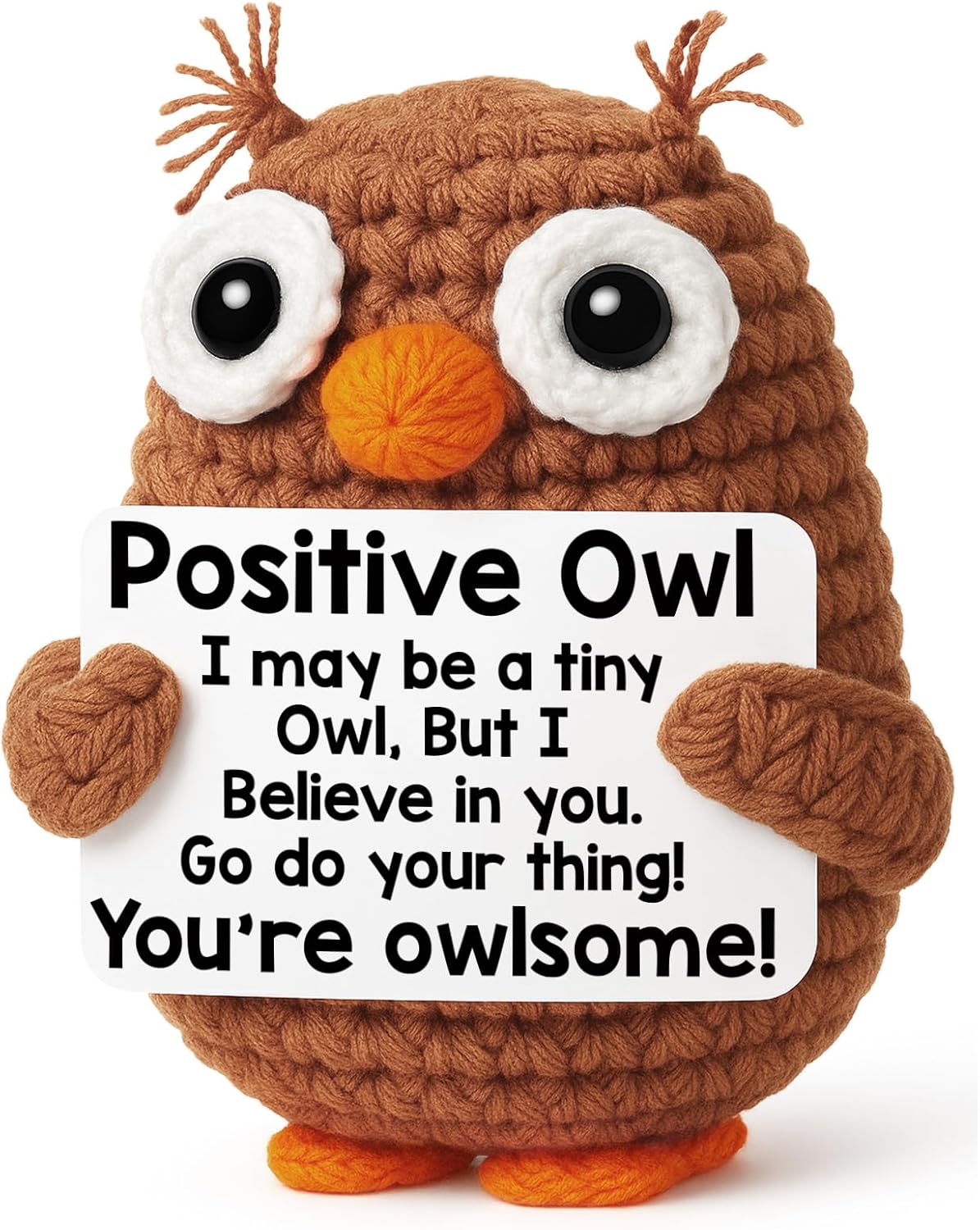 Owl Graduation Gifts - Inspirational Keepsake for Teens | Perfect for 2026 Graduates, Birthdays & Teacher Appreciation