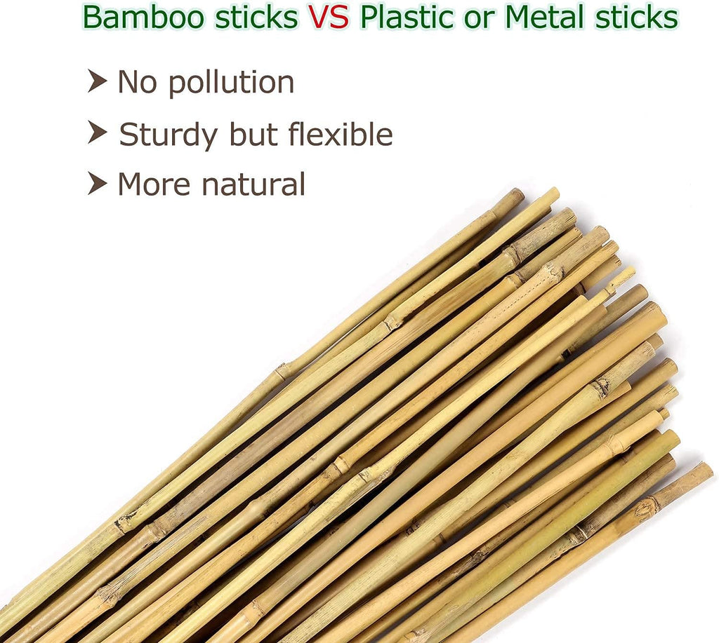 Cambaverd Bamboo Stakes - 4ft Natural Plant Support for Tomatoes & Climbing Plants | 25 Pack