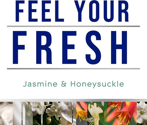 Glade PlugIns Refills Air Freshener - Jasmine & Honeysuckle Scented Essential Oils | 10 Count, 0.67 Fl Oz