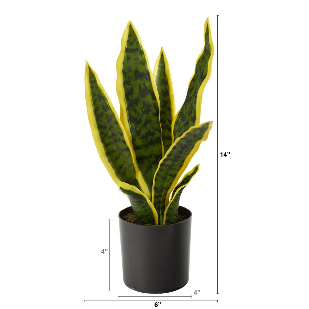 Nearly Natural 14-in Artificial Tall Snake Plant Sansevieria, Yellow Faux Snake Plant for Indoor Home Decor in Black Nursery Pot, Fake Plant for Office, Living Room, Bedroom, Tabletop, DIY